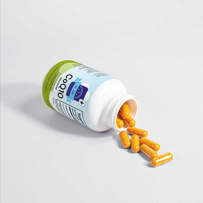 CoQ10 Ubiquinone
